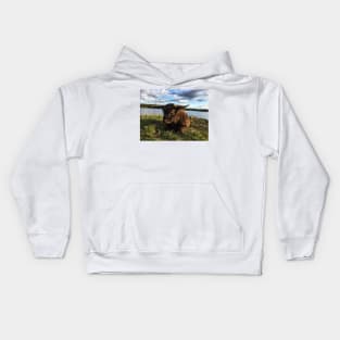 Scottish Highland Cattle Bull 1791 Kids Hoodie